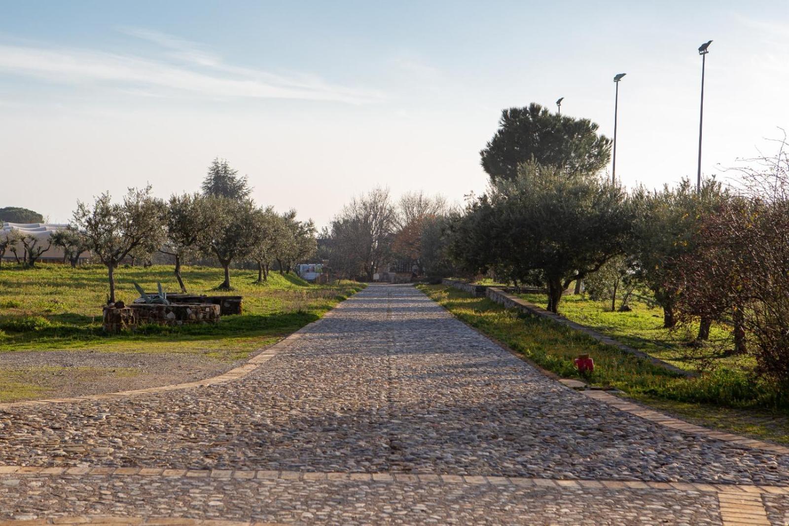קסטרווילארי Agriturismo Masseria Fonte Di Maroglio מראה חיצוני תמונה
