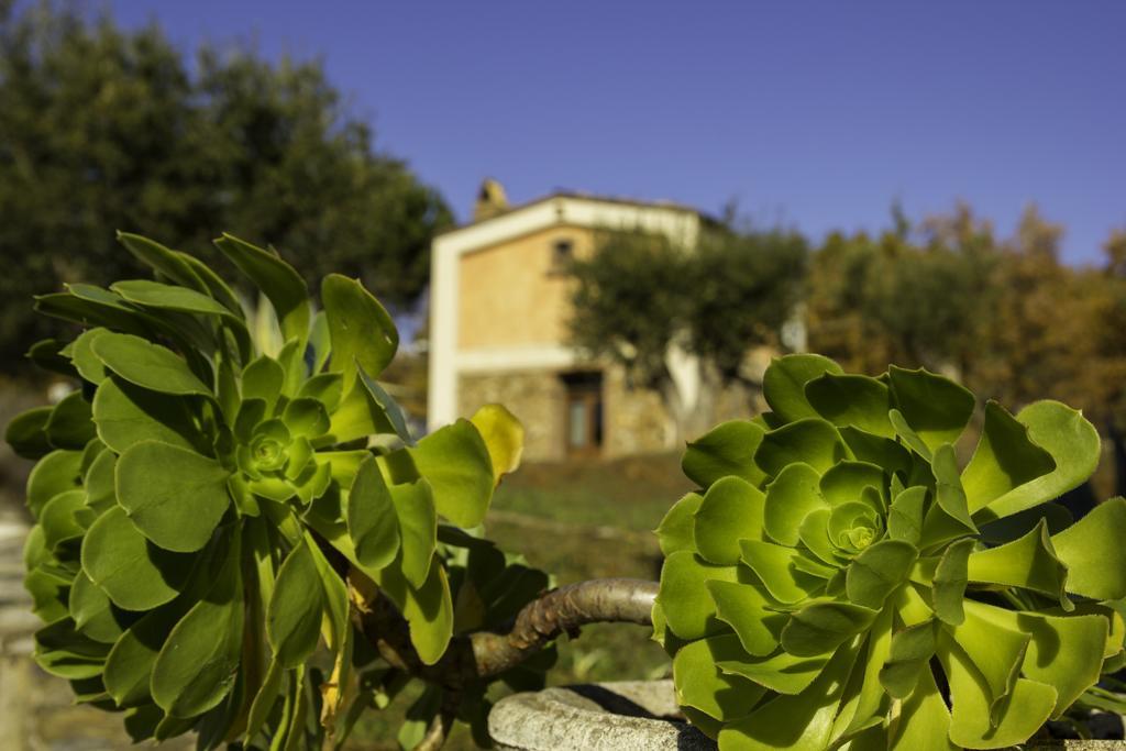 קסטרווילארי Agriturismo Masseria Fonte Di Maroglio מראה חיצוני תמונה